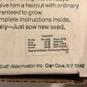 70s vintage “Paddy OHair” chia  head. Comes with original seed!